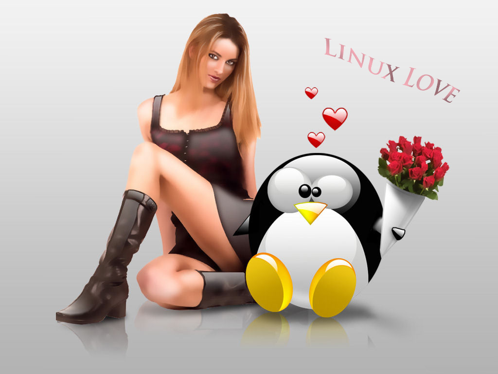 Linux Themes Wallpapers
