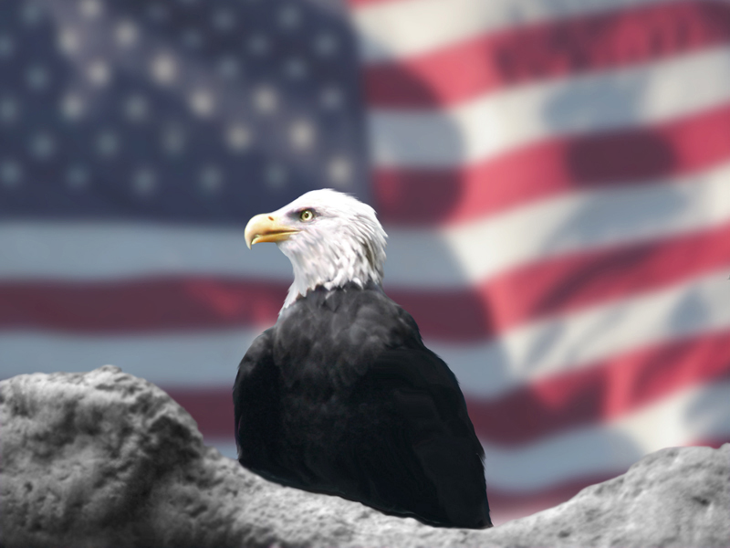 american eagle wallpaper. American Eagle amp; Flag