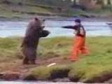Red Salmon - Bear Fight