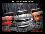 Muscle Cars