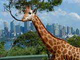 Sydney Australia