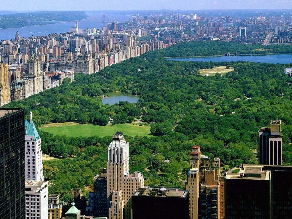 Central Park (NY)
