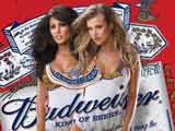 Budweiser