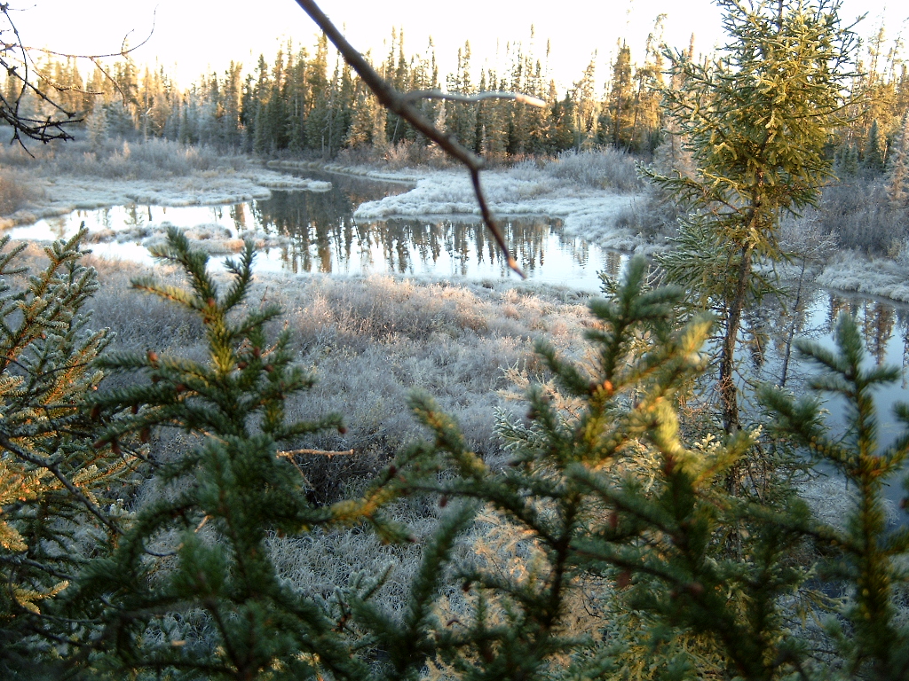 Swampland Abitibi